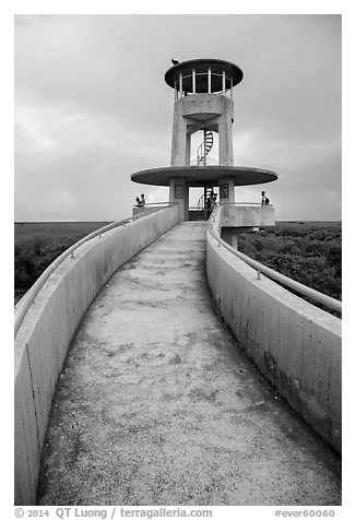 Observation tower and visitors, Shark Valley. Everglades National Park (black and white)