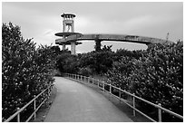 Trail and observation tower, Shark Valley. Everglades National Park ( black and white)