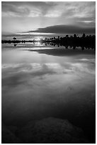 Sunset, Pines Glades Lake. Everglades National Park ( black and white)