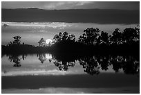 Sun setting, Pines Glades Lake. Everglades National Park ( black and white)