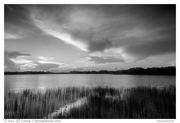 Nine-Mile Pond at sunrise. Everglades National Park (black and white)