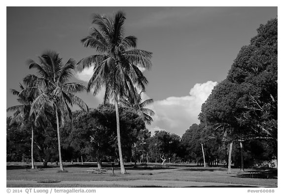 Flamingo Campground. Everglades National Park (black and white)