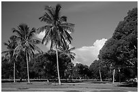 Flamingo Campground. Everglades National Park ( black and white)