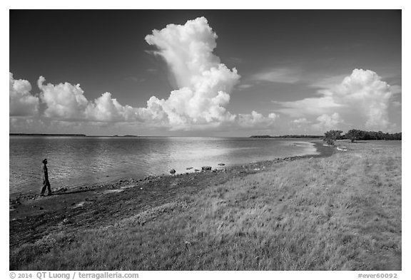 Visitor looking, Florida Bay. Everglades National Park (black and white)