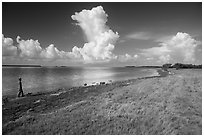 Visitor looking, Florida Bay. Everglades National Park ( black and white)
