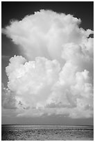 Summer clouds above waters, Florida Bay. Everglades National Park ( black and white)