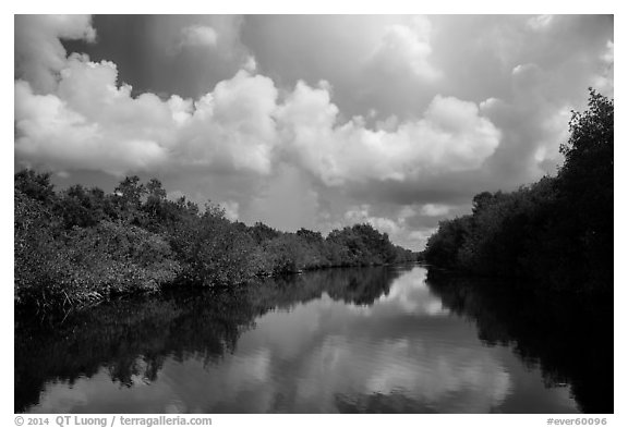 Buttonwood Canal and rain clouds. Everglades National Park (black and white)
