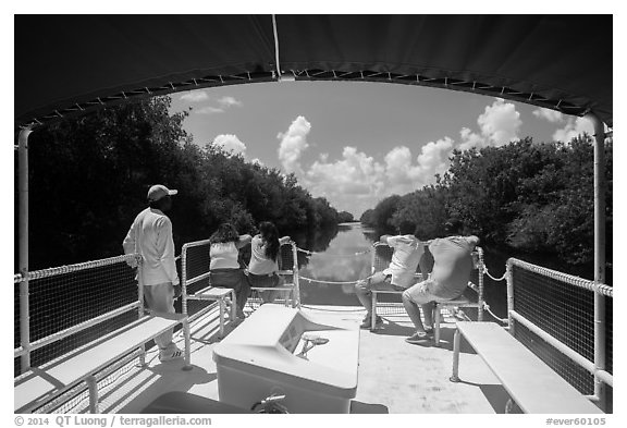 Canal seen from deck of tour boat. Everglades National Park (black and white)