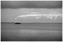 Flock of birds and islets, Florida Bay. Everglades National Park ( black and white)