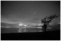 Thunderstorms at night over Florida Bay seen from Flamingo. Everglades National Park ( black and white)