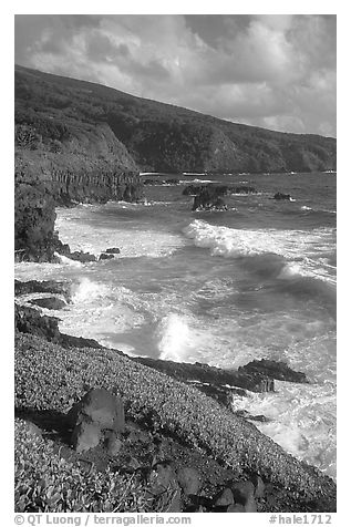 Seascape with waves and coastline, and cliffs,  Kipahulu. Haleakala National Park (black and white)