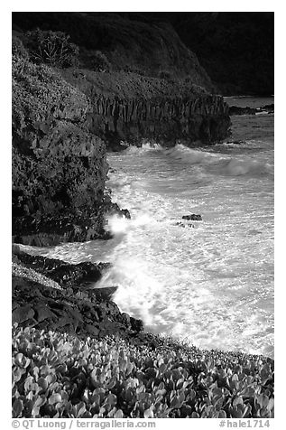 Waves and cliffs at Kipahulu, morning. Haleakala National Park (black and white)