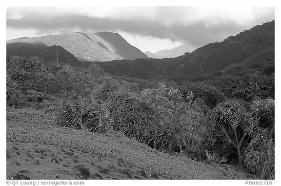 Lush Kipahulu mountains. Haleakala National Park, Hawaii, USA.