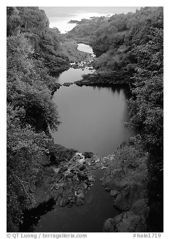 Oho o Stream on its way to the ocean forms Seven sacred pools. Haleakala National Park (black and white)