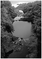 Oho o Stream on its way to the ocean forms Seven sacred pools. Haleakala National Park, Hawaii, USA. (black and white)