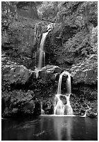 Waterfall in Ohe o gorge, evening. Haleakala National Park, Hawaii, USA. (black and white)