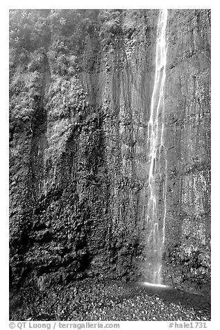 Waimoku Falls, more than 300 feet high. Haleakala National Park (black and white)