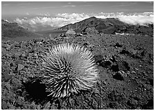 Clouds and Haleakala crater. Haleakala National Park ( black and white)