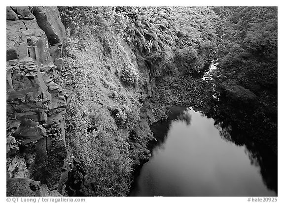 Gorge from the brink of Makahiku falls. Haleakala National Park (black and white)