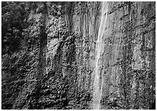 Waimoku Falls, more than 300 feet high. Haleakala National Park ( black and white)