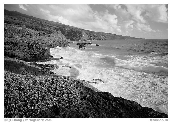 Coast at Kipahulu, morning. Haleakala National Park (black and white)
