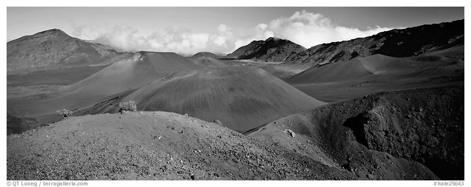 Volcanic scenery with colorful ash inside Haleakala crater. Haleakala National Park (black and white)