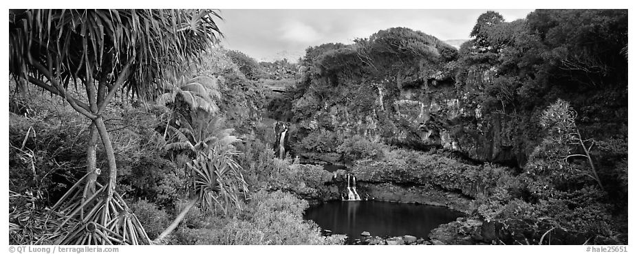 Tropical landscape with pools and waterfalls. Haleakala National Park (black and white)