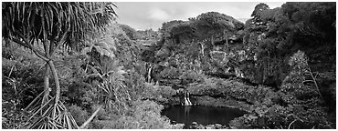 Tropical landscape with pools and waterfalls. Haleakala National Park (Panoramic black and white)
