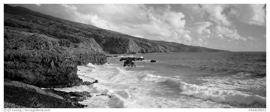 Coastline with volcanic cliffs and strong surf. Haleakala National Park (black and white)