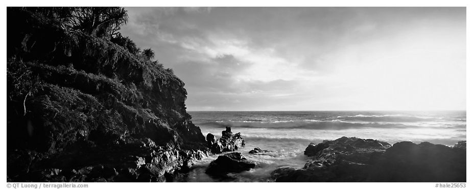 Stream outlet at sunrise. Haleakala National Park (black and white)