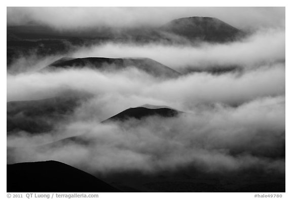 Cinder cones emerging from clouds. Haleakala National Park (black and white)