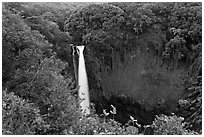 Makahiku falls plunging off a lush, green cliff. Haleakala National Park ( black and white)
