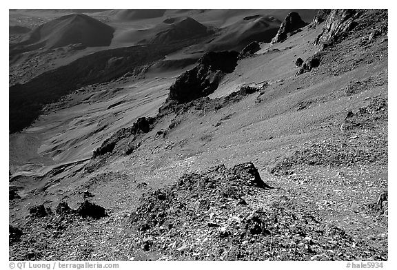 View inside Haleakala crater, early morning. Haleakala National Park (black and white)