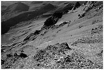 View inside Haleakala crater, early morning. Haleakala National Park ( black and white)