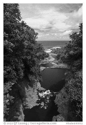 Kipahulu pools and Pacific Ocean,. Haleakala National Park (black and white)