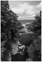 Kipahulu pools and Pacific Ocean,. Haleakala National Park ( black and white)