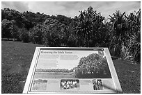 Restoring the Hala Forest interpretive sign. Haleakala National Park ( black and white)