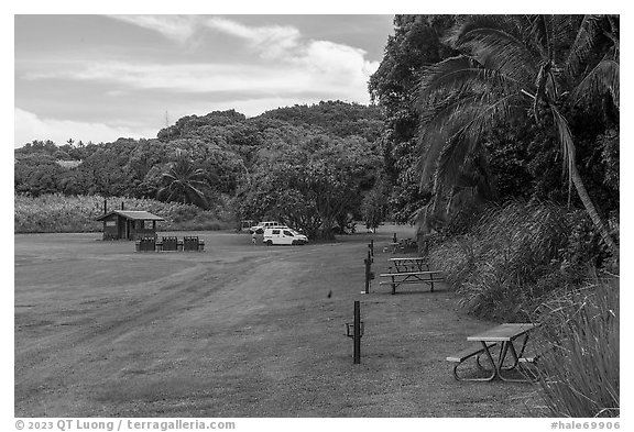 Kipahulu Campground. Haleakala National Park (black and white)