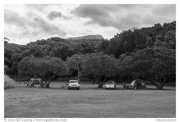 Camping in verdant Kipahulu Campground. Haleakala National Park, Hawaii, USA.