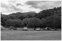 Camping in verdant Kipahulu Campground. Haleakala National Park ( black and white)