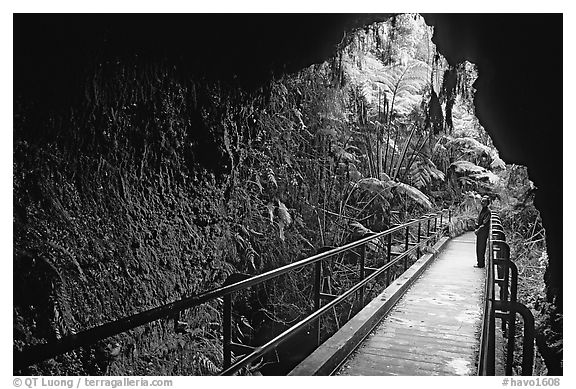 Thurston lava tube seen from inside. Hawaii Volcanoes National Park (black and white)