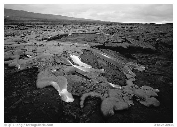 Molten lava flow near Chain of Craters Road. Hawaii Volcanoes National Park, Hawaii, USA.