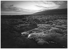 Volcanic landscape with molten lava flow and red spots at sunset. Hawaii Volcanoes National Park, Hawaii, USA. (black and white)