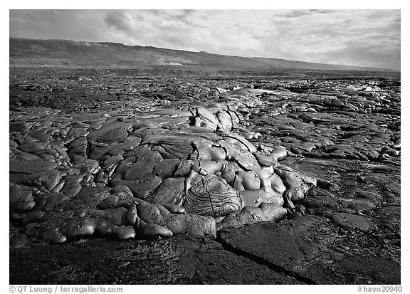 Freshly cooled lava on plain. Hawaii Volcanoes National Park (black and white)