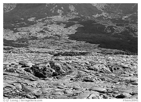 Recent hardened lava flow at the base of Holei Pali. Hawaii Volcanoes National Park (black and white)
