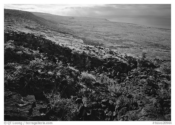 Black lava and coastal plain from Hilana Pali. Hawaii Volcanoes National Park (black and white)