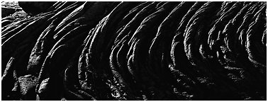 Hardened rope lava riples. Hawaii Volcanoes National Park (Panoramic black and white)