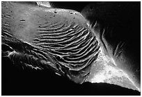 Close-up of molten lava. Hawaii Volcanoes National Park, Hawaii, USA. (black and white)