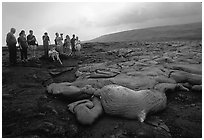 Hikers observe a live lava flow at close distance. Hawaii Volcanoes National Park, Hawaii, USA. (black and white)