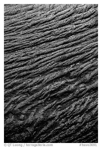 Ripples of flowing pahoehoe lava detail. Hawaii Volcanoes National Park (black and white)